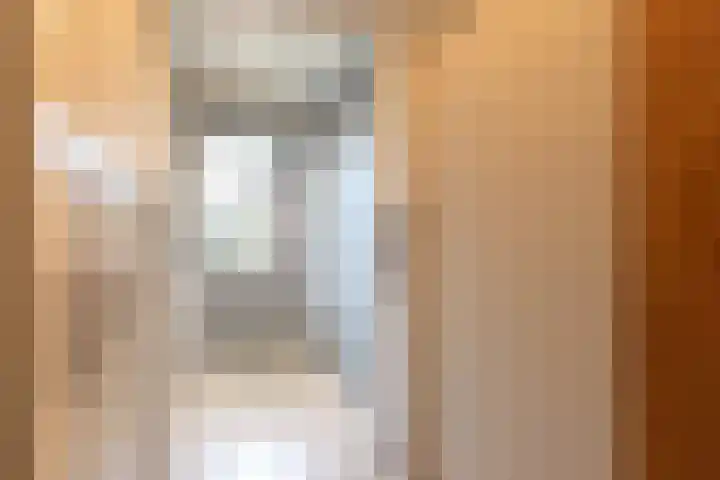 De Snik 28 Zoutkamp thumbnail 17