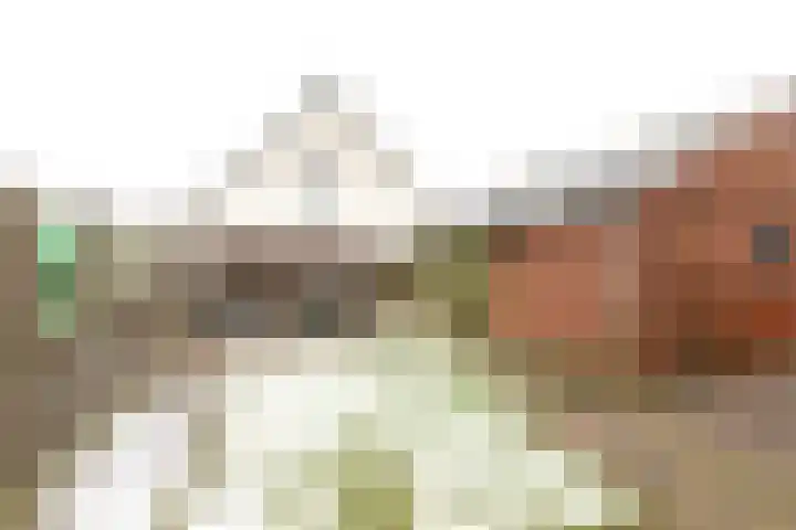 De Snik 28 Zoutkamp thumbnail 18