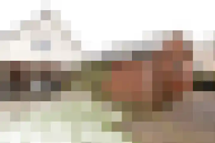 De Snik 28 Zoutkamp thumbnail 19