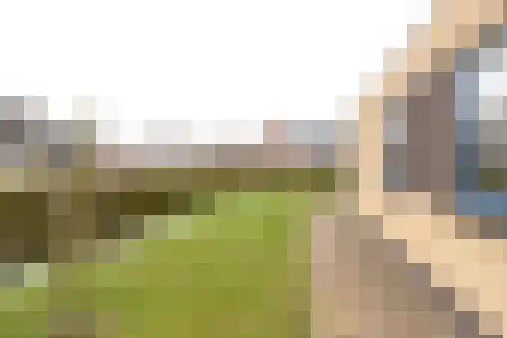 De Snik 28 Zoutkamp thumbnail 22
