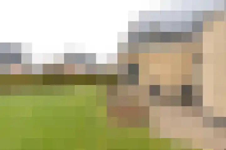 De Snik 28 Zoutkamp thumbnail 23