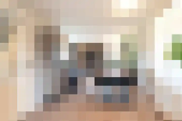 De Snik 28 Zoutkamp thumbnail 26