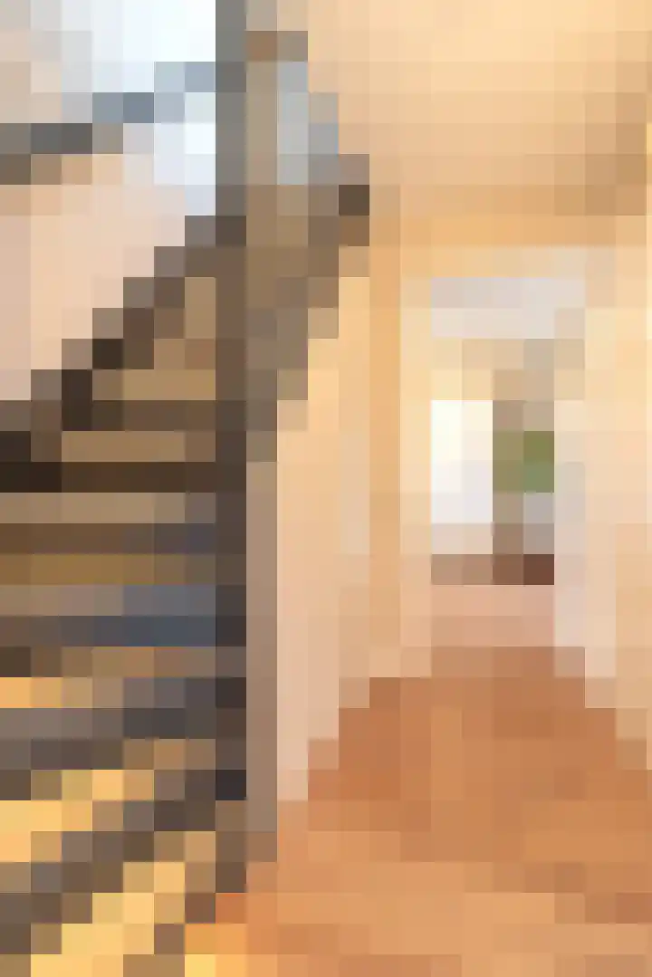 De Snik 28 Zoutkamp thumbnail 27