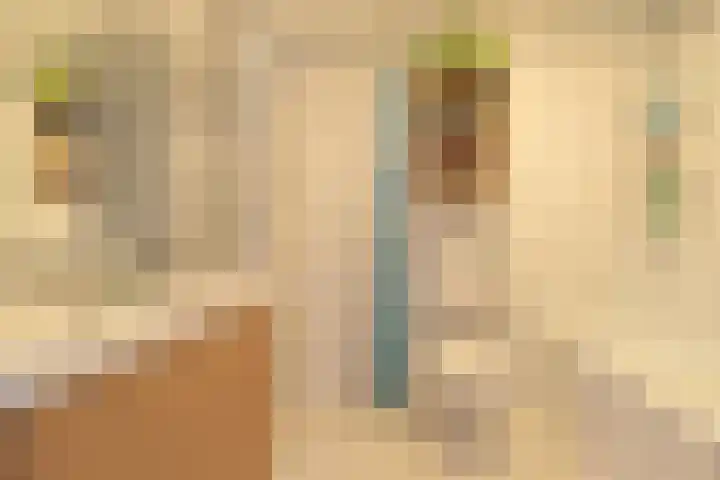 De Snik 28 Zoutkamp thumbnail 36