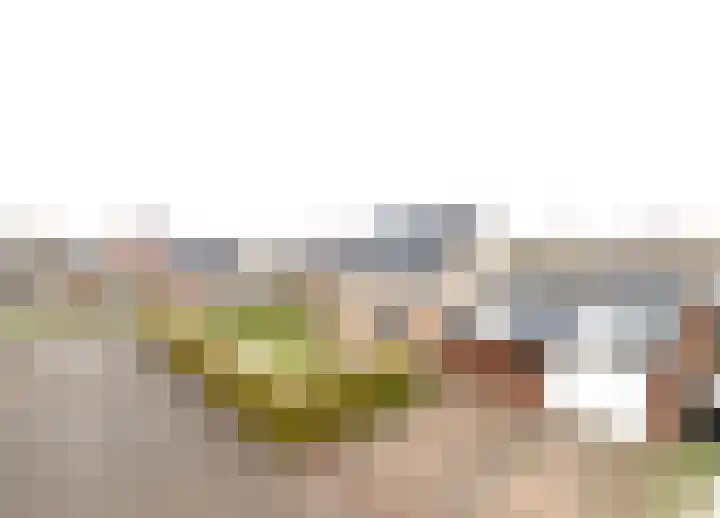 De Snik 28 Zoutkamp thumbnail 4