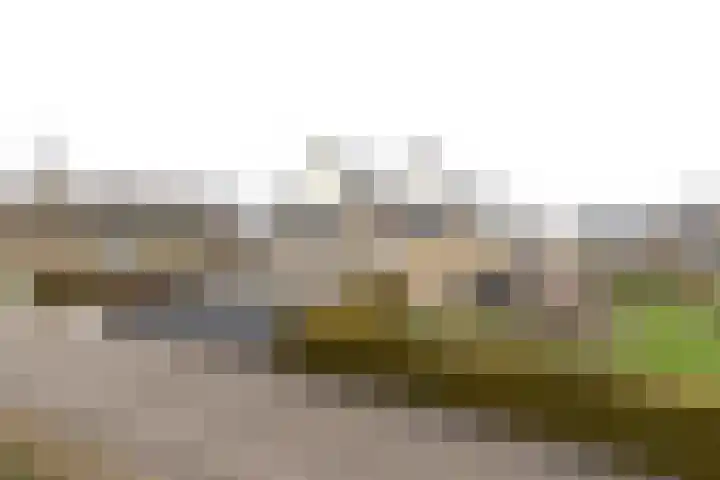 De Snik 28 Zoutkamp thumbnail 41