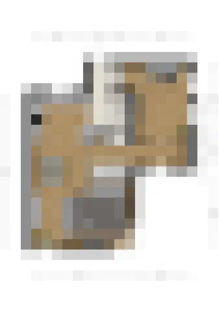 De Snik 28 Zoutkamp thumbnail 43
