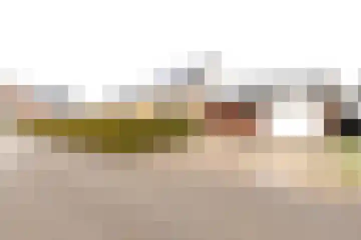 De Snik 28 Zoutkamp thumbnail 5