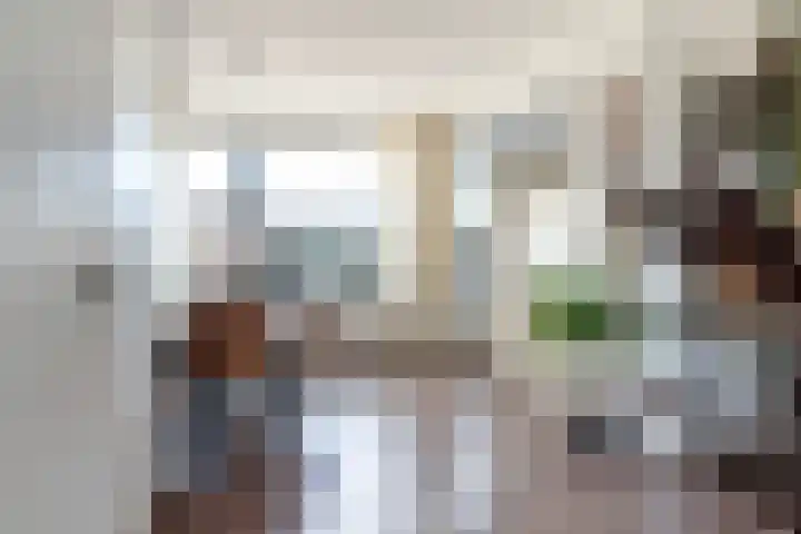 De Snikke 7 Hallum thumbnail 14
