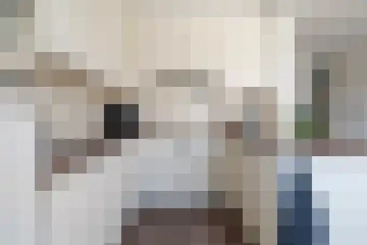 De Snikke 7 Hallum thumbnail 15
