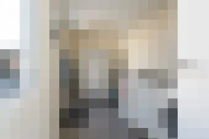 De Snikke 7 Hallum thumbnail 16
