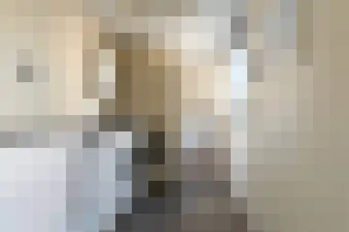 De Snikke 7 Hallum thumbnail 17
