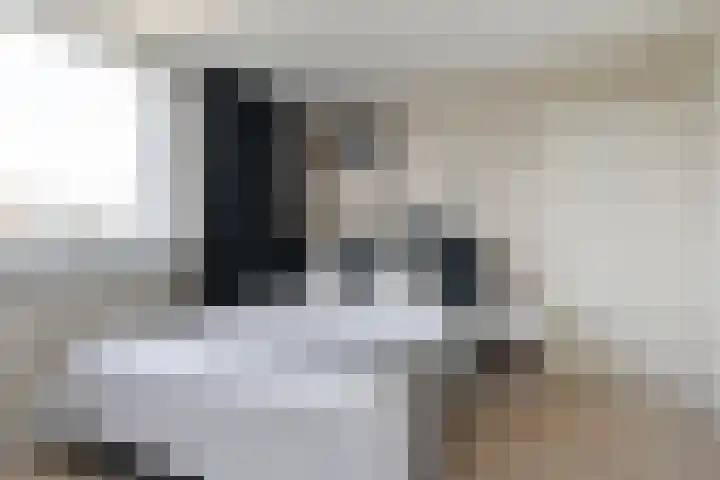 De Snikke 7 Hallum thumbnail 19