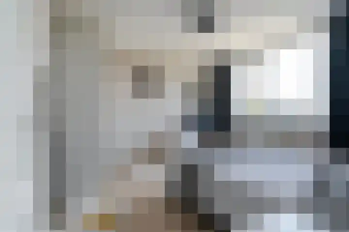 De Snikke 7 Hallum thumbnail 20