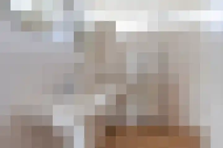 De Snikke 7 Hallum thumbnail 25