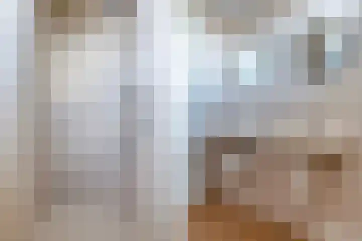 De Snikke 7 Hallum thumbnail 26