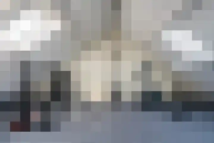 De Snikke 7 Hallum thumbnail 27