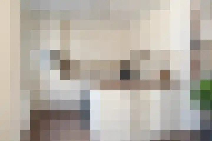 De Snikke 7 Hallum foto 3