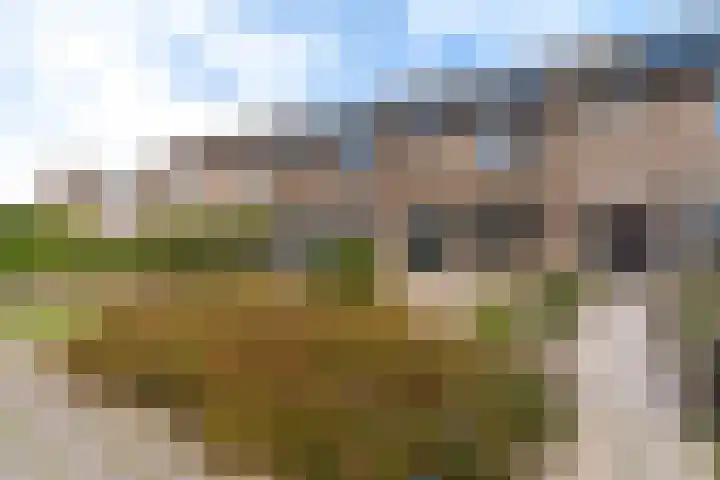 De Snikke 7 Hallum thumbnail 34
