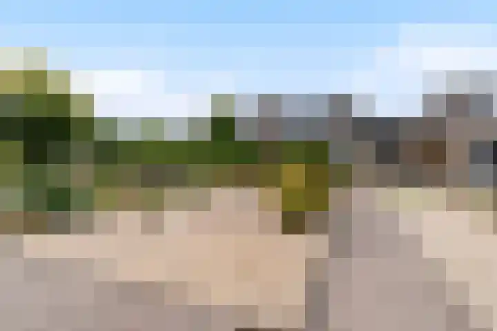De Snikke 7 Hallum thumbnail 35