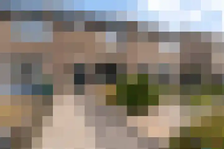 De Snikke 7 Hallum thumbnail 38