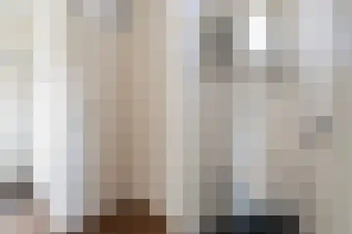 De Snikke 7 Hallum thumbnail 6