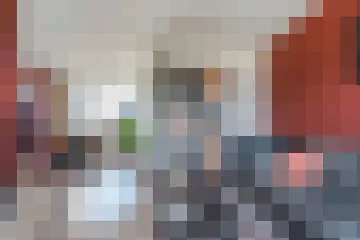 De Snikke 7 Hallum thumbnail 8