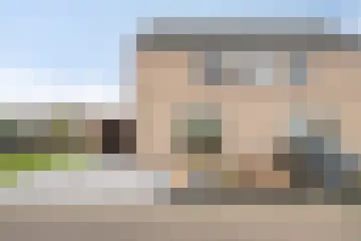 De Snit 13 Swifterbant