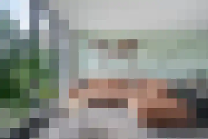 De Snit 13 Swifterbant thumbnail 12