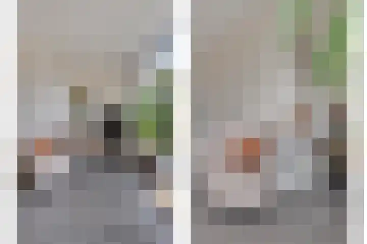 De Snit 13 Swifterbant thumbnail 15