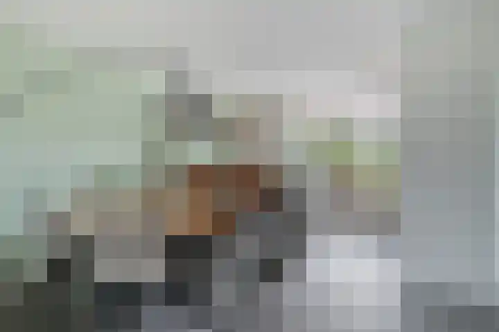De Snit 13 Swifterbant thumbnail 17