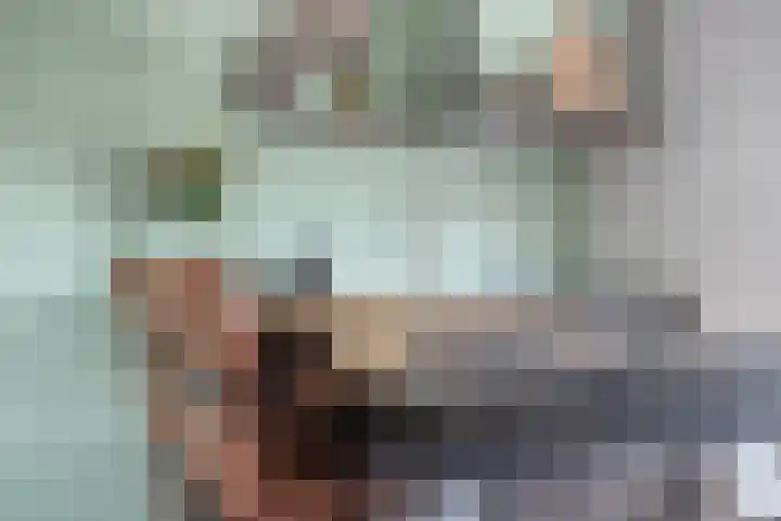 De Snit 13 Swifterbant thumbnail 18