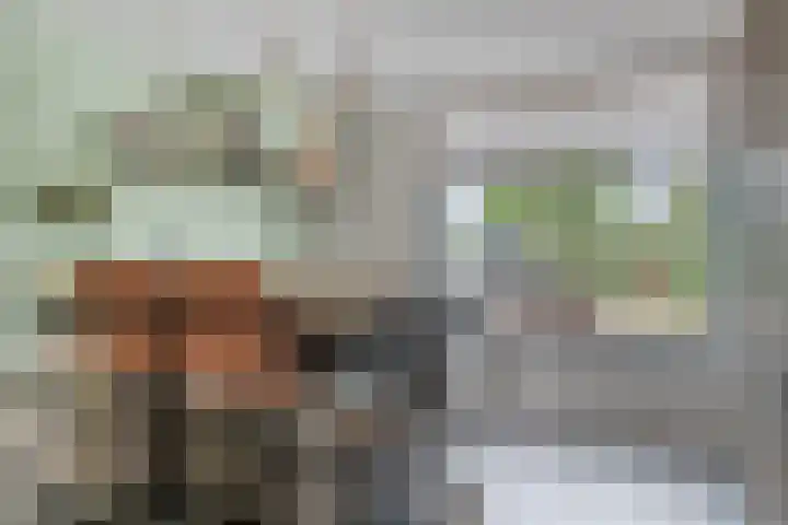 De Snit 13 Swifterbant thumbnail 19