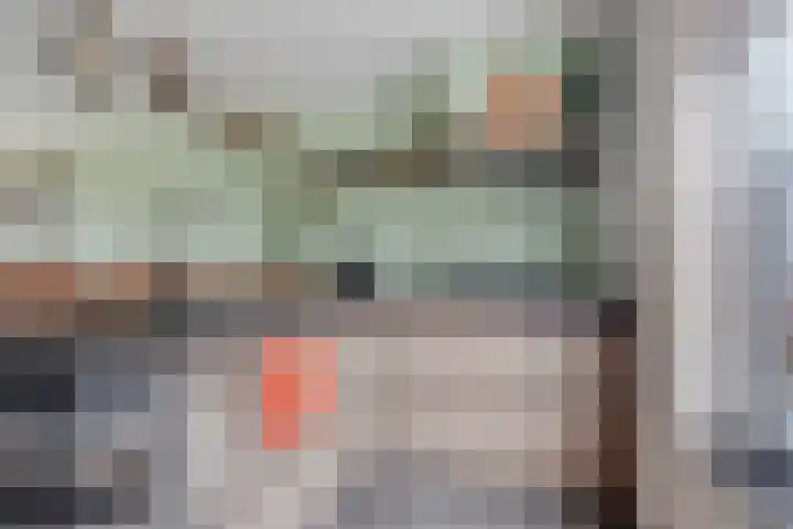 De Snit 13 Swifterbant thumbnail 20