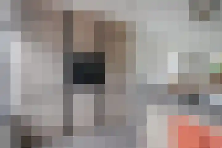 De Snit 13 Swifterbant thumbnail 21