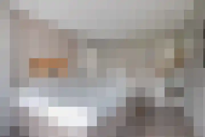 De Snit 13 Swifterbant thumbnail 24