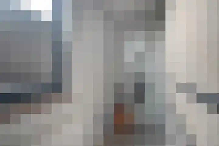 De Snit 13 Swifterbant thumbnail 26