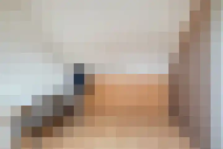 De Snit 13 Swifterbant thumbnail 33