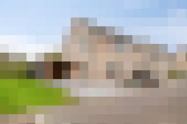 De Snit 13 Swifterbant thumbnail 42