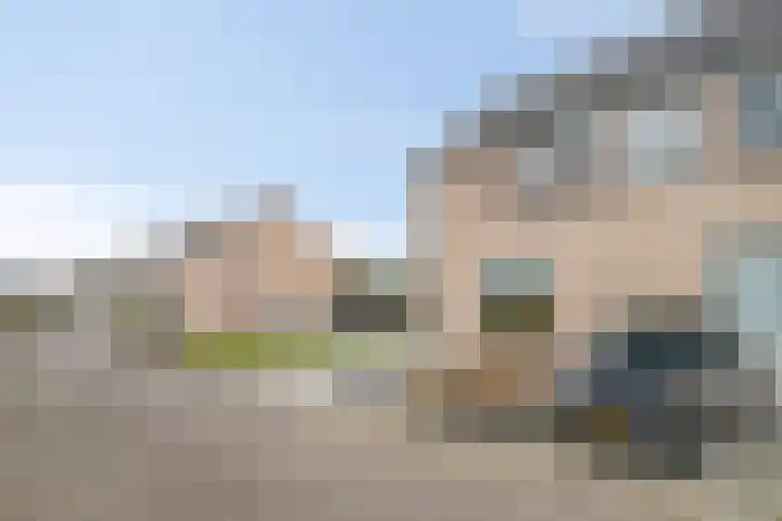 De Snit 13 Swifterbant thumbnail 44