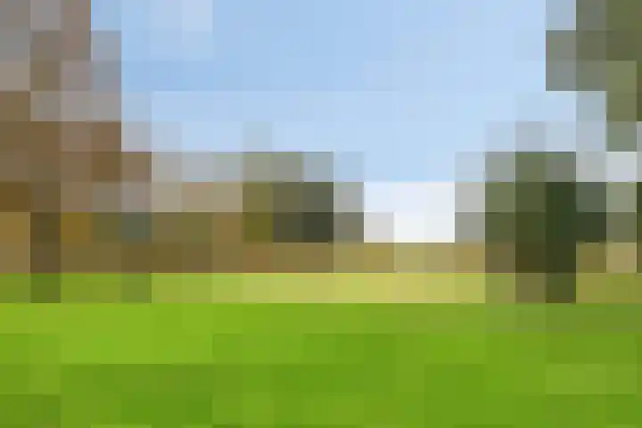 De Snit 13 Swifterbant thumbnail 47