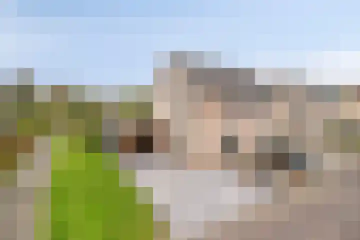 De Snit 13 Swifterbant thumbnail 5