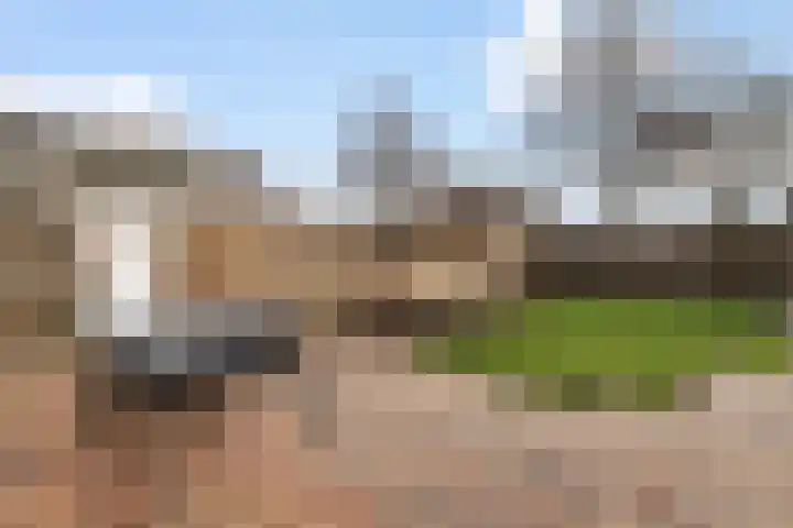 De Snit 18 Swifterbant thumbnail 16