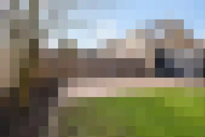 De Snit 18 Swifterbant thumbnail 18