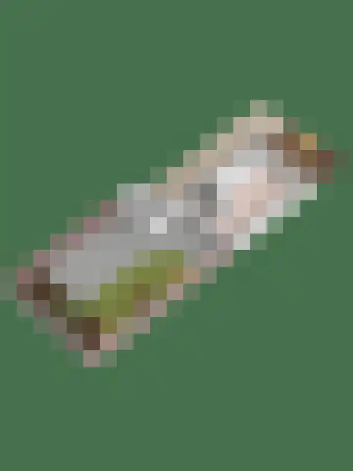 De Snit 18 Swifterbant thumbnail 25