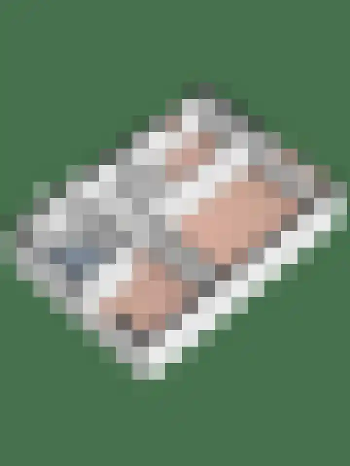 De Snit 18 Swifterbant thumbnail 27