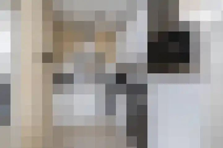 De Snit 18 Swifterbant thumbnail 7