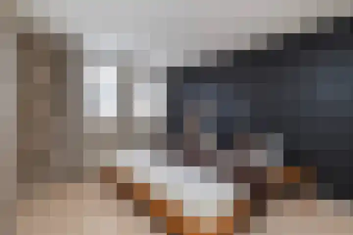 De Snit 18 Swifterbant thumbnail 9