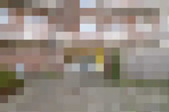De Sonneveld 48 Heiloo thumbnail 5