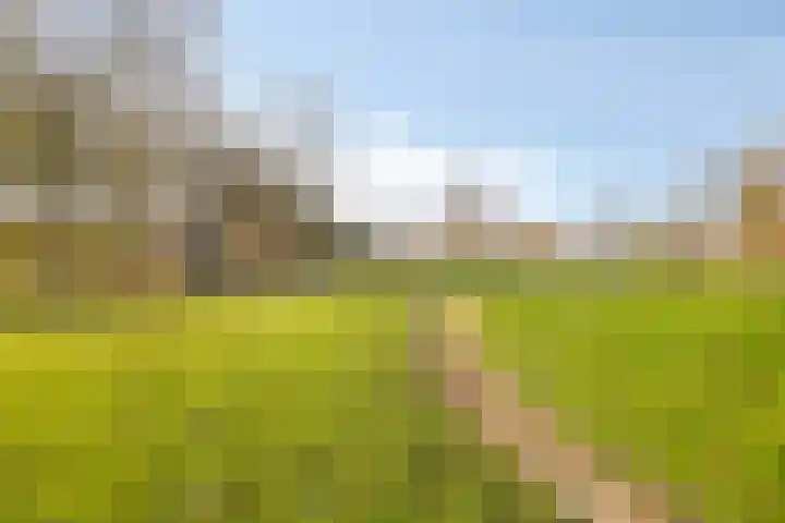De Sonneveld 54 Heiloo thumbnail 28